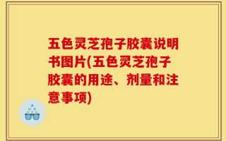 五色灵芝孢子胶囊说明书图片(五色灵芝孢子胶囊的用途、剂量和注意事项)
