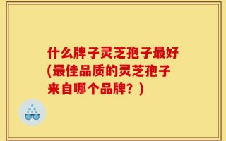 什么牌子灵芝孢子最好(最佳品质的灵芝孢子来自哪个品牌？)