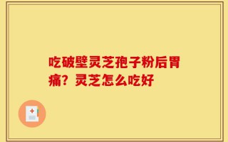 吃破壁灵芝孢子粉后胃痛？灵芝怎么吃好