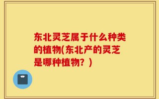 东北灵芝属于什么种类的植物(东北产的灵芝是哪种植物？)