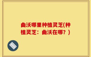 曲沃哪里种植灵芝(种植灵芝：曲沃在哪？)