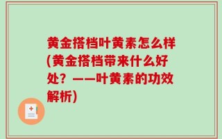 黄金搭档叶黄素怎么样(黄金搭档带来什么好处？——叶黄素的功效解析)