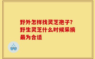 野外怎样找灵芝孢子？野生灵芝什么时候采摘最为合适
