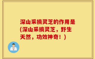 深山采摘灵芝的作用是(深山采摘灵芝，野生天然，功效神奇！)