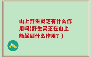 山上野生灵芝有什么作用吗(野生灵芝在山上能起到什么作用？)