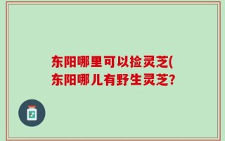 东阳哪里可以捡灵芝(东阳哪儿有野生灵芝？