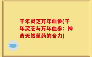 千年灵芝万年血参(千年灵芝与万年血参：神奇天然草药的合力)