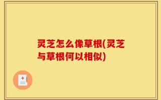 灵芝怎么像草根(灵芝与草根何以相似)
