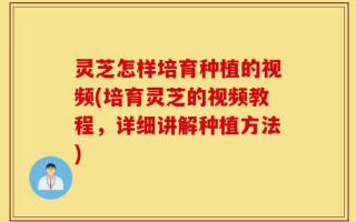 灵芝怎样培育种植的视频(培育灵芝的视频教程，详细讲解种植方法)