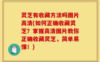 灵芝有收藏方法吗图片高清(如何正确收藏灵芝？掌握高清图片教你正确收藏灵芝，简单易懂！)