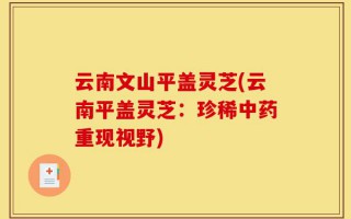 云南文山平盖灵芝(云南平盖灵芝：珍稀中药重现视野)