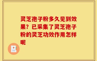 灵芝孢子粉多久见到效果？已采集了灵芝孢子粉的灵芝功效作用怎样呢