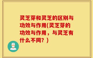 灵芝芽和灵芝的区别与功效与作用(灵芝芽的功效与作用，与灵芝有什么不同？)