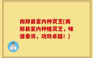 南郑县室内种灵芝(南郑县室内种植灵芝，味道香浓，功效卓越！)