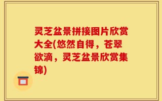 灵芝盆景拼接图片欣赏大全(悠然自得，苍翠欲滴，灵芝盆景欣赏集锦)