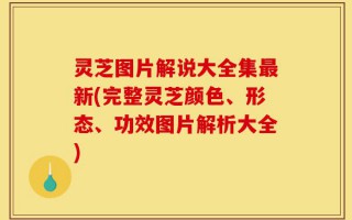 灵芝图片解说大全集最新(完整灵芝颜色、形态、功效图片解析大全)