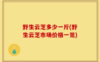 野生云芝多少一斤(野生云芝市场价格一览)