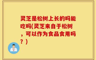 灵芝是松树上长的吗能吃吗(灵芝来自于松树，可以作为食品食用吗？)