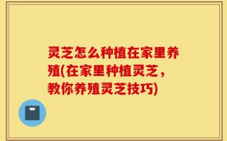 灵芝怎么种植在家里养殖(在家里种植灵芝，教你养殖灵芝技巧)