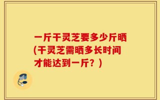 一斤干灵芝要多少斤晒(干灵芝需晒多长时间才能达到一斤？)