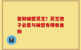 鉴别破壁灵芝？灵芝孢子去壁与破壁有哪些差别