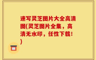 速写灵芝图片大全高清图(灵芝图片全集，高清无水印，任性下载！)