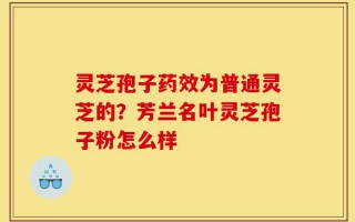 灵芝孢子药效为普通灵芝的？芳兰名叶灵芝孢子粉怎么样