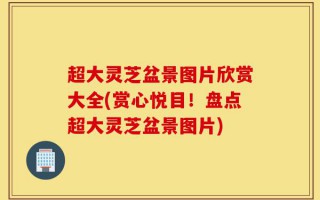 超大灵芝盆景图片欣赏大全(赏心悦目！盘点超大灵芝盆景图片)