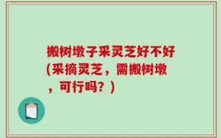 搬树墩子采灵芝好不好(采摘灵芝，需搬树墩，可行吗？)