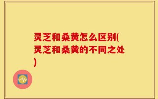 灵芝和桑黄怎么区别(灵芝和桑黄的不同之处)