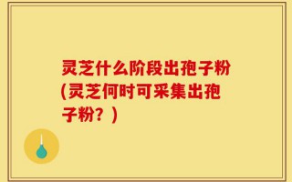 灵芝什么阶段出孢子粉(灵芝何时可采集出孢子粉？)