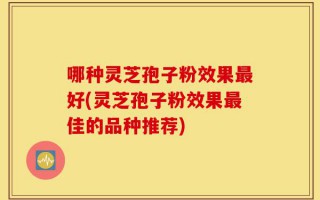 哪种灵芝孢子粉效果最好(灵芝孢子粉效果最佳的品种推荐)