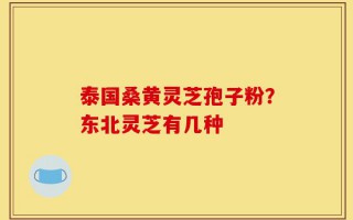 泰国桑黄灵芝孢子粉？东北灵芝有几种