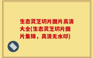 生态灵芝切片图片高清大全(生态灵芝切片图片集锦，高清无水印)