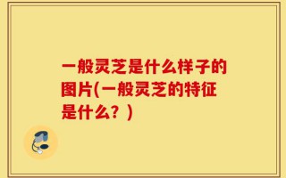 一般灵芝是什么样子的图片(一般灵芝的特征是什么？)