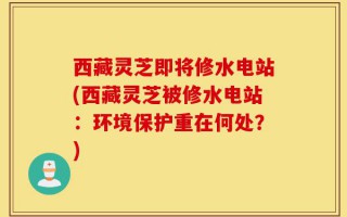 西藏灵芝即将修水电站(西藏灵芝被修水电站：环境保护重在何处？)
