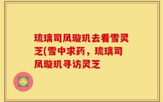 琉璃司凤璇玑去看雪灵芝(雪中求药，琉璃司凤璇玑寻访灵芝