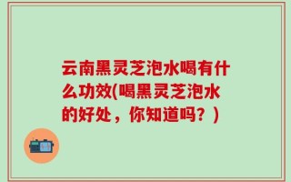 云南黑灵芝泡水喝有什么功效(喝黑灵芝泡水的好处，你知道吗？)