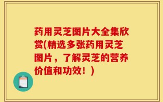 药用灵芝图片大全集欣赏(精选多张药用灵芝图片，了解灵芝的营养价值和功效！)