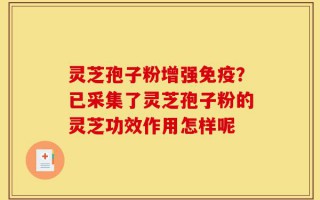 灵芝孢子粉增强免疫？已采集了灵芝孢子粉的灵芝功效作用怎样呢