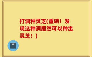 打洞种灵芝(重磅！发现这种洞居然可以种出灵芝！)