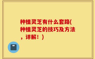 种植灵芝有什么套路(种植灵芝的技巧及方法，详解！)