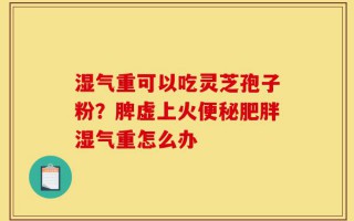 湿气重可以吃灵芝孢子粉？脾虚上火便秘肥胖湿气重怎么办
