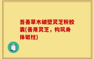 吾善草木破壁灵芝粉胶囊(善用灵芝，构筑身体砥柱)