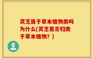 灵芝属于草本植物类吗为什么(灵芝是否归类于草本植物？)