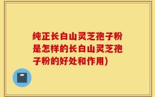 纯正长白山灵芝孢子粉是怎样的长白山灵芝孢子粉的好处和作用)