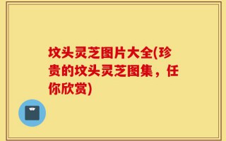 坟头灵芝图片大全(珍贵的坟头灵芝图集，任你欣赏)