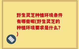 野生灵芝种植环境条件有哪些呢(野生灵芝的种植环境要求是什么？)