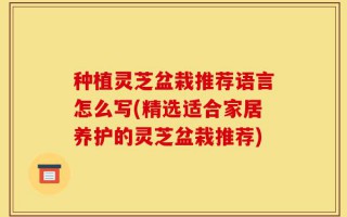 种植灵芝盆栽推荐语言怎么写(精选适合家居养护的灵芝盆栽推荐)
