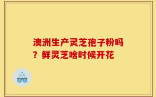 澳洲生产灵芝孢子粉吗？鲜灵芝啥时候开花